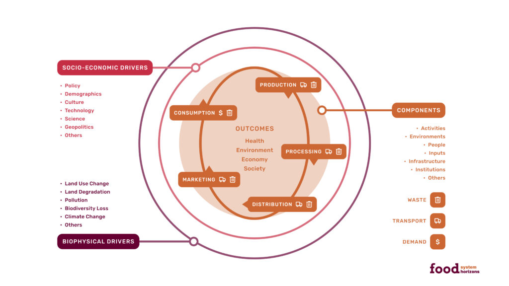 The food system figure shows the individual components of the food system that include production, processing, distribution, marketing, and consumption. The components are connected by a circle that indicates that they impact each other. Within each component, transport is involved, and food loss or waste occurs. Consumption is driven by consumer demand, which impacts the rest of the food system. The food system components sit within a shaded circle labelled components. This indicates that each food system comprises activities, environments, people, inputs, infrastructure, institutions, and other factors, and these are listed. In the centre of the diagram, health, environment, economy, and society are listed to show the breath of outcomes that the food system influences. These outcomes are shown at the centre of the food system to indicate that they are interrelated with the individual food system components and impact each other. Socio-economic and biophysical drivers are shown in outer concentric circles to indicate that they influence the whole food system. Socio-economic drivers that are listed include policy, demographics, culture, technology, science, geopolitics, and others. Biophysical drivers that are listed include land use change, land degradation, pollution, biodiversity loss, climate change, and others.