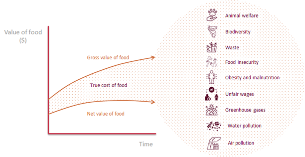 Factors contributing to the true cost of food can include food waste, biodiversity loss, greenhouse gas emissions, water and air pollution, subsidies, acidification, blue water withdrawal, insufficient animal and human welfare, unfair wages, child labour, poor working conditions, antimicrobial resistance, zoonoses or malnutrition due to unhealthy diets, and food insecurity. 