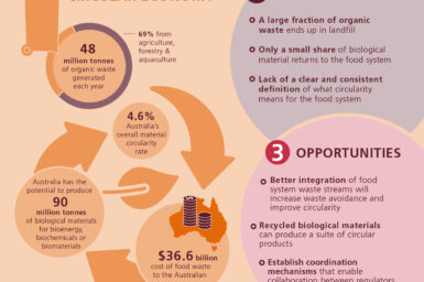 This is an infographic that summarises the state of circular economy as it relates to Australia’s food system, its challenges and opportunities. Some of the facts presented include: 48 million tonnes of organic waste is generated each year; 68% come from agriculture, forestry and aquaculture; Australia’s circularity rate is 4.6%; Australia has the potential to produce 90 million tonnes of biological materials for bioenergy, biochemicals or biomaterials; the cost of food waste to the Australian economy is $36.6 billion. Challenges identified include a large fraction of organic waste ends up in landfill; only a small share of biological material returns to the food system; a lack of clear and consistent definition of what circularity means for the food system. Opportunities identified include better integration of food system waste streams will increase waste avoidance and improve circularity; recycled biological materials can produce a suite of circular products; establish coordination mechanisms that enable collaboration between regulators, industry and communities to manage safety and environment priorities.